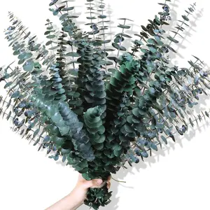 30Pcs Dried Eucalyptus Stems 17" Real Preserved Eucalyptus Plant for Shower Fresh Natural Branches for Vase Eucalyptus Bundle for Home Decor Wedding Baby Shower Bathroom