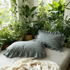 2 Pack Ruffle Pillowcases（No Filler）, Soft Microfiber Pillow Cases with Frilly Trim, Shabby Chic Decorative Pillow Covers for Bedroom,Year-Round Use,Cool Bed Accessories,Home Bedroom-Ideal Gift