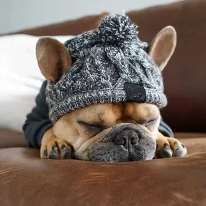 Snuggle woof hat