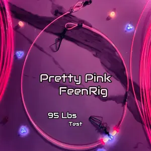 Pretty Pink FeenRigs