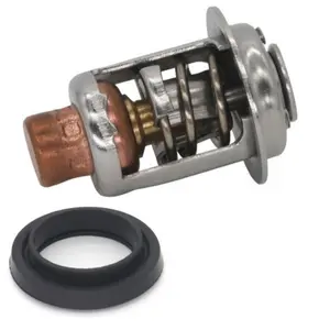 18-3672 434841 310058 Thermostat Kit with Seal For Johnson Evinrude (5-235HP)