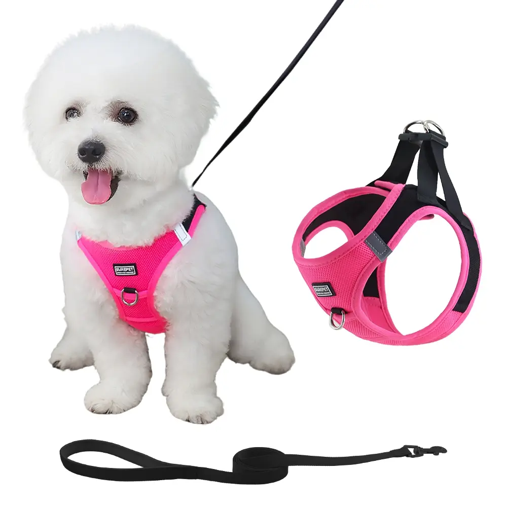 Breathable Reflective Dog Harness and Leash Set, Puppy Harness and Leash, No Choke, Dual Layer Padding, Adjustable Outdoor Safety Vest with Reflective Strip for Walking Small and Medium Dogs, Leash Combo