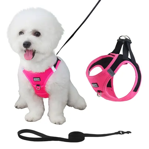 Breathable Reflective Dog Harness and Leash Set, Puppy Harness and Leash, No Choke, Dual Layer Padding, Adjustable Outdoor Safety Vest with Reflective Strip for Walking Small and Medium Dogs, Leash Combo