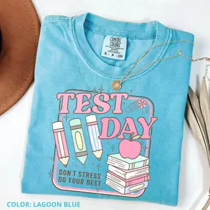 Comfort Colors Teacher Testing Shirt, Matching State Testing Graphic Tee, STAAR Testing T-shirt, Test Day Teacher Outfit, Teacher Team Gift