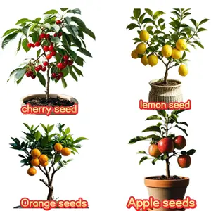 Mixed Fruit Tree Seeds Pack, 200pcs Assorted Cherry Apple Lemon and Orange Seeds for Planting, Garden Fruit Seeds Only, Not Live Plants