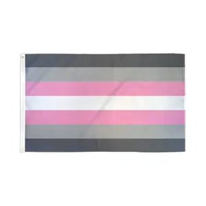 Demigirl Flag 3x5ft Poly