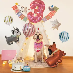Dog Birthday Celebration Box with costume accessory String Lights Squeaky Toys Banners Hats Party sparkle Balloons Set Gifts for Dogs  Halloween Birthday Decoration garland bandana Cake Plush dog Toy Sounds Making Birthday Party Supplies for Boy and Girl