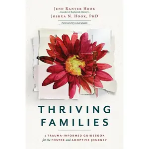 USED-Thriving Families: A Trauma-Informed Guidebook for the Foster and Adoptive Journey by Ranter Hook, Jennifer (Paperback)