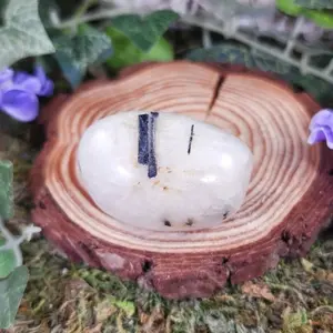 Black Tourmaline in Quartz Palm, Worry Stone #15