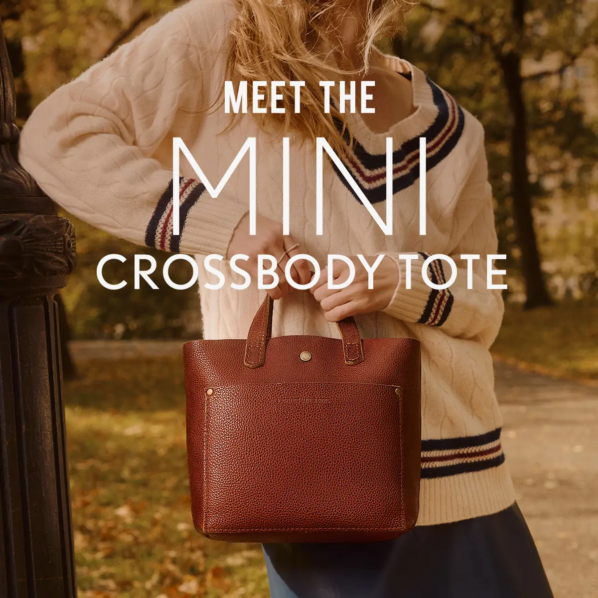 Mini Crossbody Tote