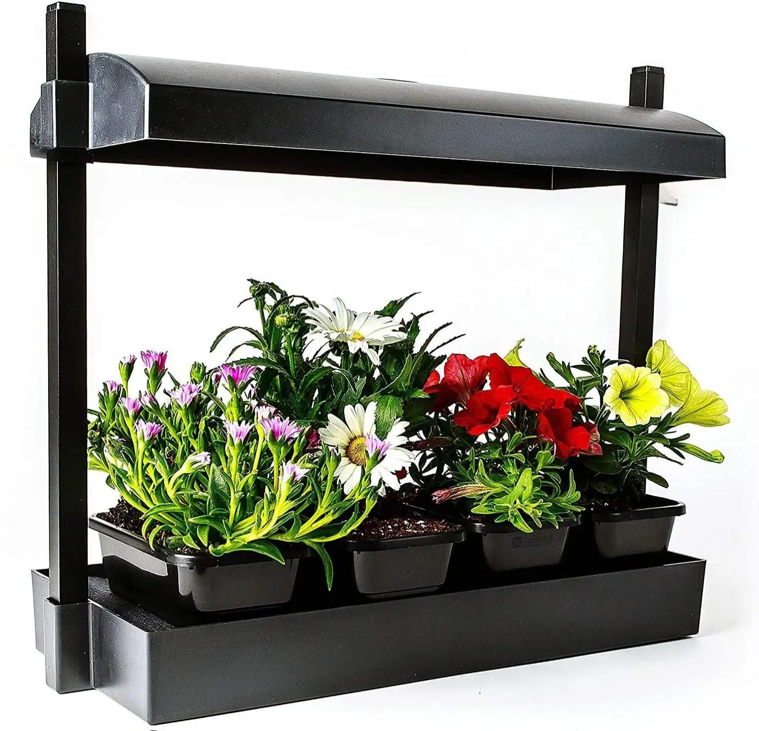 SunBlaster LED Indoor Micro Growlight Garden, Home Growing Kit, Black