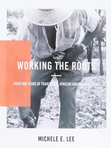 Working The Roots: Over 400 Years of Traditional African American Healing -- Michele Elizabeth Lee - Paperback