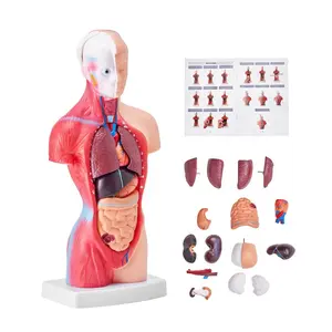 VEVOR Human Body Model, 15 Parts 11 inch, Human Torso Anatomy Model Anatomical Skeleton Model with Removable Organs, Educational Teaching Tool for Students Science Learning School Education DisplayVEVOR Super Brand Day