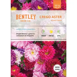 Aster, Crego Mixed Colors Seed Packets