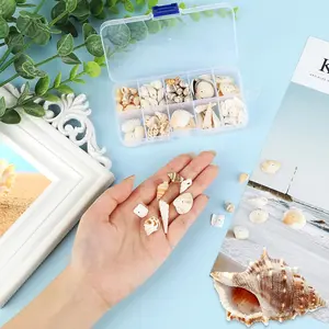 Sea Shells 150Pcs Beach Mixed Seashells for Crafting Fish Tank Vase Fillers Beach Theme Party Wedding Decor Home Decorations DIY Crafts - Home Improvement.