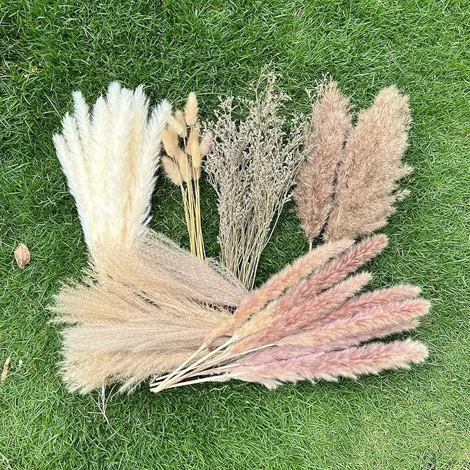 100PCS Boho Dried Flower Arrangement – Natural Pampas Grass & Bunny Tails for Home Decor