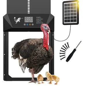 Upgrade Large Solar Automatic Chicken Coop Door, LCD Display, Timer Function, Remote Control, Multiple Modes, Easy Operation
