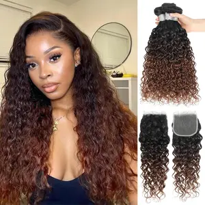 ALHER 12A Ombre Bundles with Closure Human Hair Water Wave, #T1B/2/30 Ombre Brown Wet n Wavy Curly Human Hair 3 Bundles And 4x4 Closure Free Part 100% Remy Hair Salon-Quality Weave 12 14 16+12 IN
