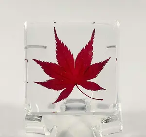 1.5" Real Red Japanese Maple Leaf in Crystal Clear Lucite Resin Specimen Dried Pressed Botanist Herb Herbarium Crafts Collection