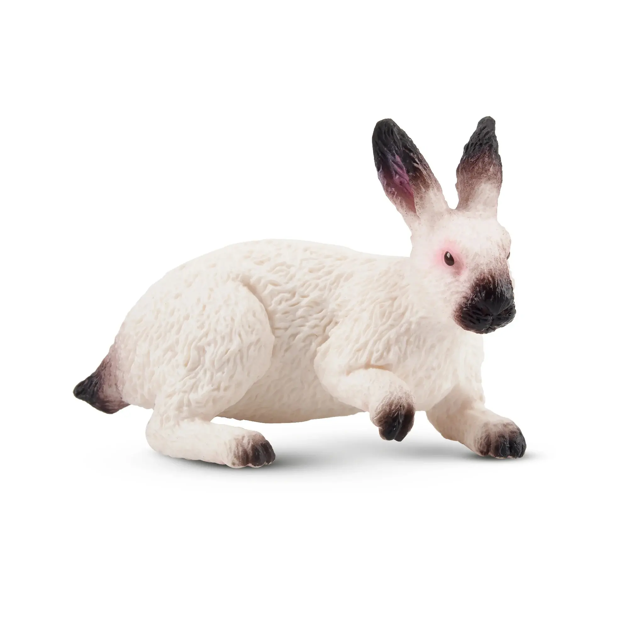 Toymany Hand-Painted Californian Rabbit Figurine – Realistic Animal Model, Perfect for Early Education, Montessori Sensory Play, Cake & Party Decorations, Desk & Home Décor, Thoughtful Gifts, and Collectible Figurine