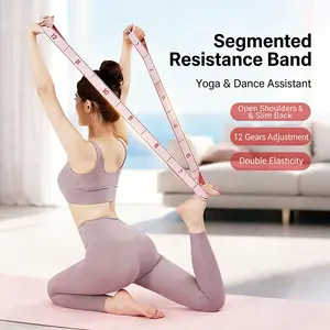 Yoga Strap with 12 Loops - Multi-Functional Stretch Band for Pilates, Dance, Gymnastics, Physical Therapy, Flexibility & Resistance Training, Ballet, Latin Workouts