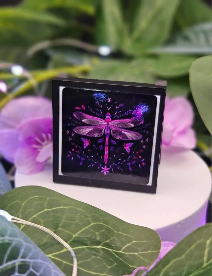 Invincible Blush Highlighter Duo Talc Free