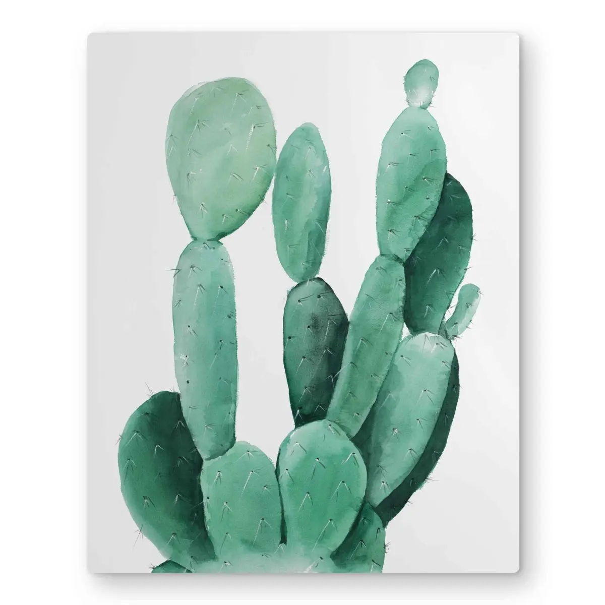 212 MAIN 16x20 in. Aluminium Cactus Watercolor Paddle Photo Wall Art - Artistic Contemporary Rustic Floral Metal Print, Exotic Plant Home Decor, Ideal Gift for Room Decoration Enthusiasts