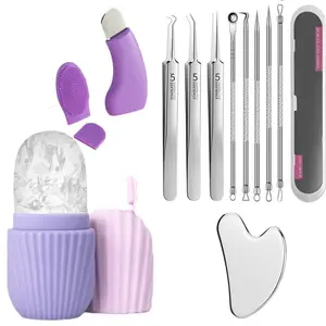 Facial Care Cleaning Kit, 1 Count Facial Cleansing Brush with Brush Head & Blackhead Shovel & Ice Roller, Facial Cleansing Instrument, Professional Skincare Tools for Women, Silicone Brush Cleansing