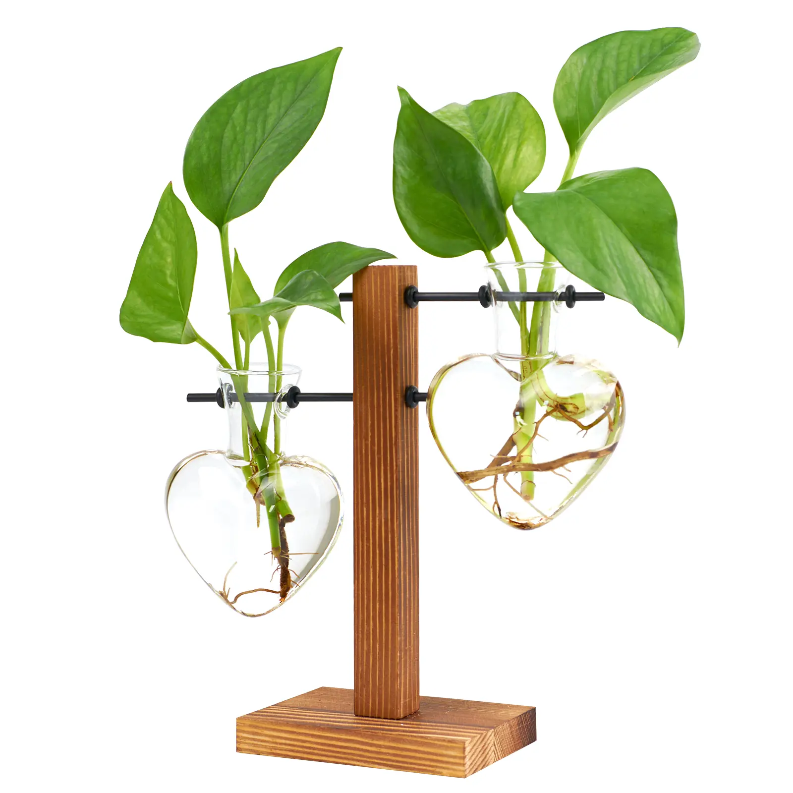 XXXFLOWER Solid Wood Heart-Shaped Compact Single Unit Plant Propagation Station - Indoor Planters, Romantic Home Decor, Gift-Ready Gift Box, Desk Enhancer, Mother's Day Present