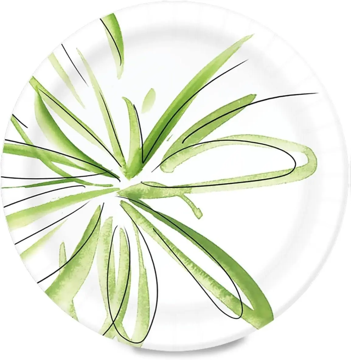 Everyday Paper Plates, 10 Inch, Disposable, 100 Count