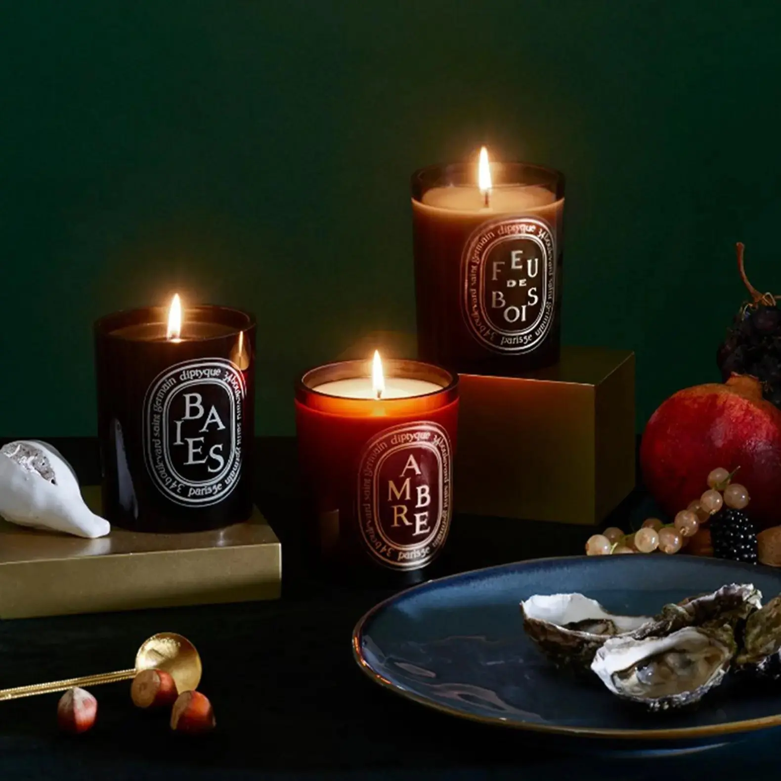 [Free Ship] Pack 2 Diptyque Candles 10.2 oz - Perfect for Decorating and Gifting, Baies/ Roses/ Tubererse with Ornaments and Freshener Decoration