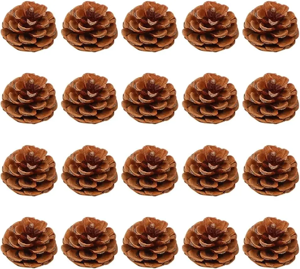20 PCS Polyethylene Artificial Pine Cones Set - Rustic Miniature 2-3cm Natural Look Pinecones for Christmas Tree Decor, Vase Centerpiece (Home & Festive Party Supplies)