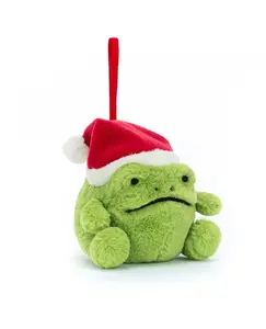 Ricky Rain Frog Decoration