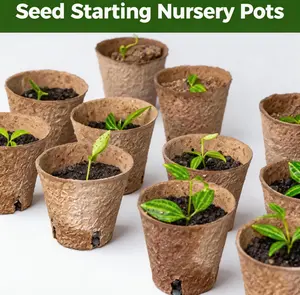 Bamworld Nursery Pots 3in 100 Pcs with Drainage, 8cm Biodegradable Plant Pots, Eco Friendly Nursery Pot for Seed Starting and Plant Propagation Garden Pot Garden Planter