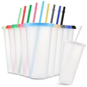 24oz/710ML Plastic Tumbler with Lid & Straw, Transparent Frosted Finish Plastic Tumblers, Water Bottle, Iced Coffee Cup, Drinking Cup, Holiday Party Gifts, Stylish Drinkware, Drinkware