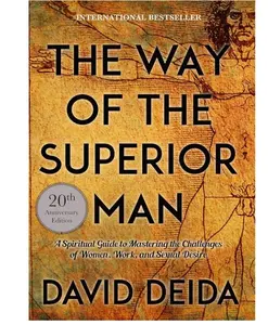 The Way of the Superior Man: A Spiritual Guide to Mastering the Challenges of Women, Work, and Sexual Desire (20th Anniversary Edition) -- David Deida - Paperback