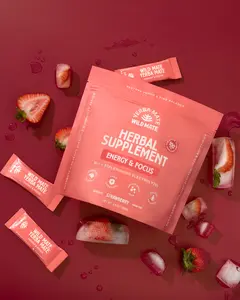 Wild Mate - Organic Yerba Mate Stick Packs with Green Coffee Bean, Electrolytes, and L-Theanine