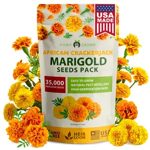 Crackerjack Marigold Seeds | 4.25oz / 35,000 Flower Seeds Planting Outdoor | Large Bulk Pack | Non-GMO, High Germination, USA Sourced