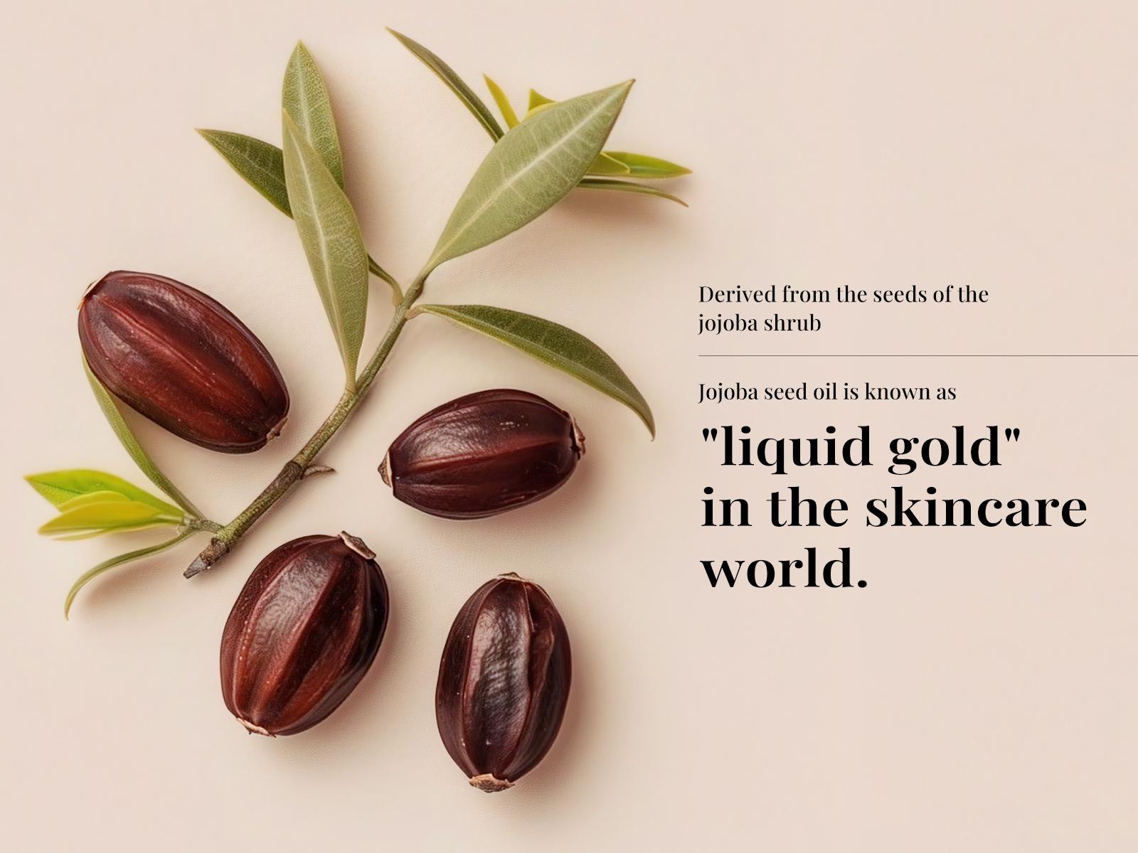 New！Sttes 02 (Original 602) Body Lotion, 250ml/8.45 fl oz – Caramel Vanilla Gourmand Scent – Deep Moisturizing, Fast-Absorbing, Non-Greasy – For Dry Skin, Women & Men