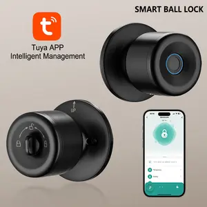 Smart Lock Fingerprint Door Knob with App Control Key Type-C Port Emergency Charging Biometric Lock for Front Door Home Apartment Office FathersDayGift