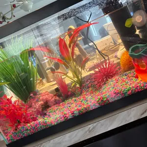 10 gallon aquarium 10 gallon aquarium