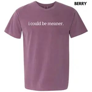 I Could Be Meaner Comfort Colors T-Shirt 'NLB'