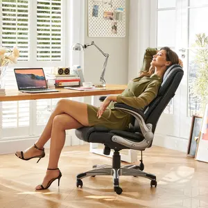COLAMY Ergonomic Office Chair With Inflatable Lumbar Support Model.2822