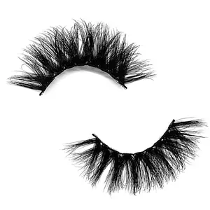 Zoey 25mm Dramatic Lashes - Complete Kit