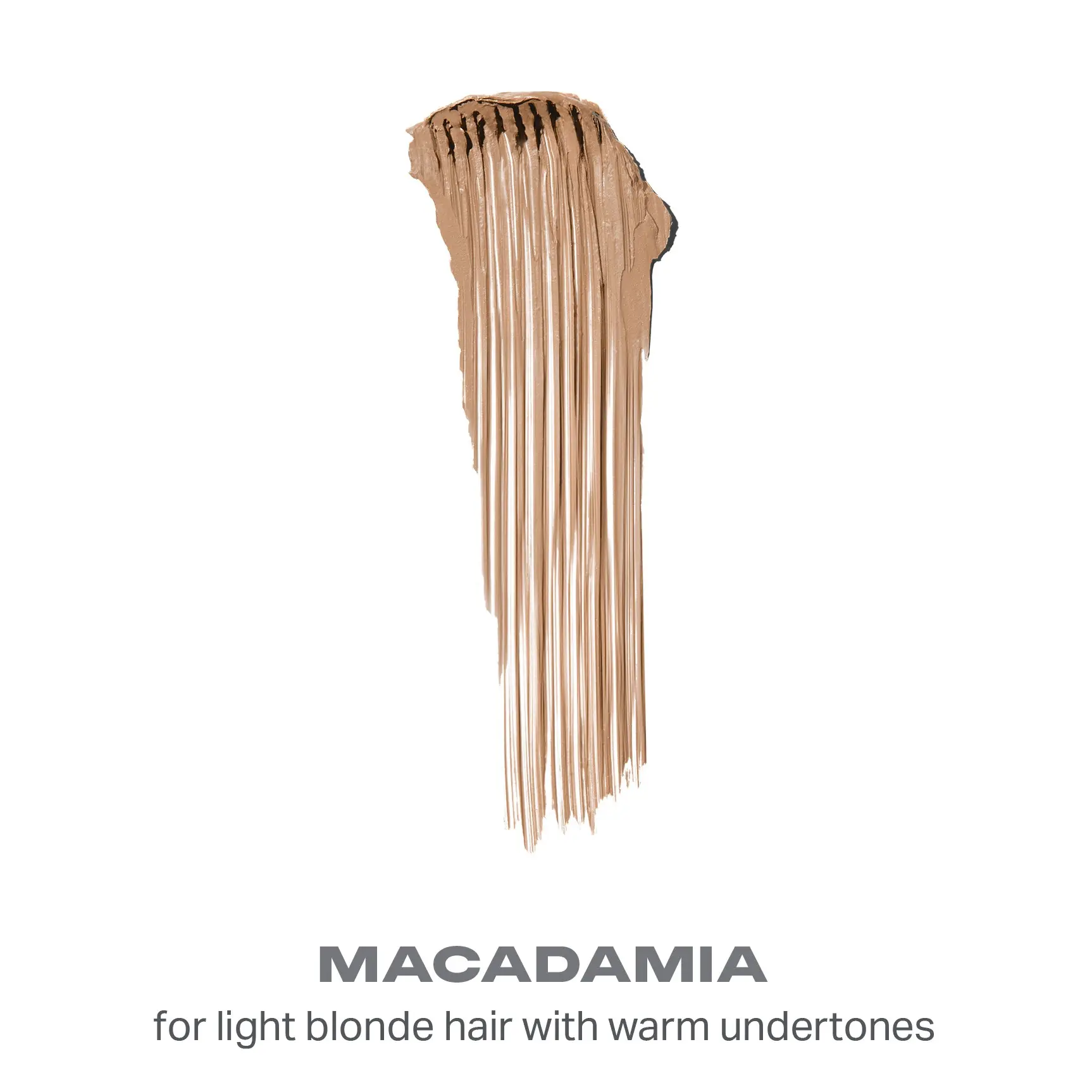 Macadamia