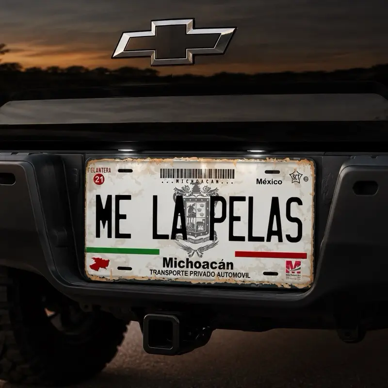 MLP LICENSE CAR PLATE