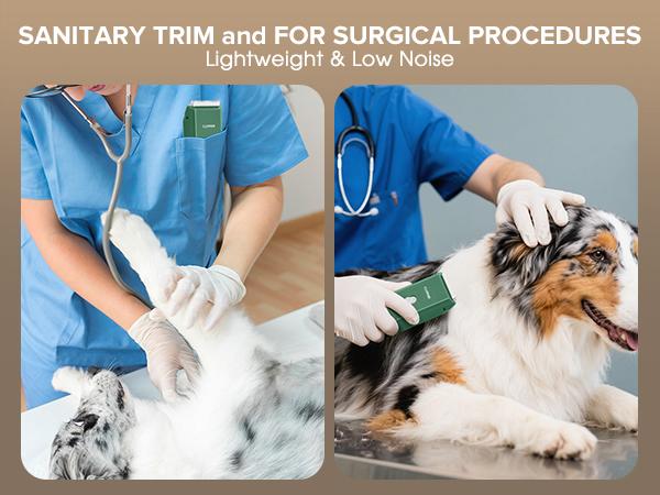 Pet Clippers for Dog Hair Grooming Low Noise, Rechargeable Cordless Cat Shaver with Ceramic Blade,Portable Pet Hair Trimmer for Matted & Long Hair