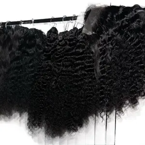 BURMESE CURLY