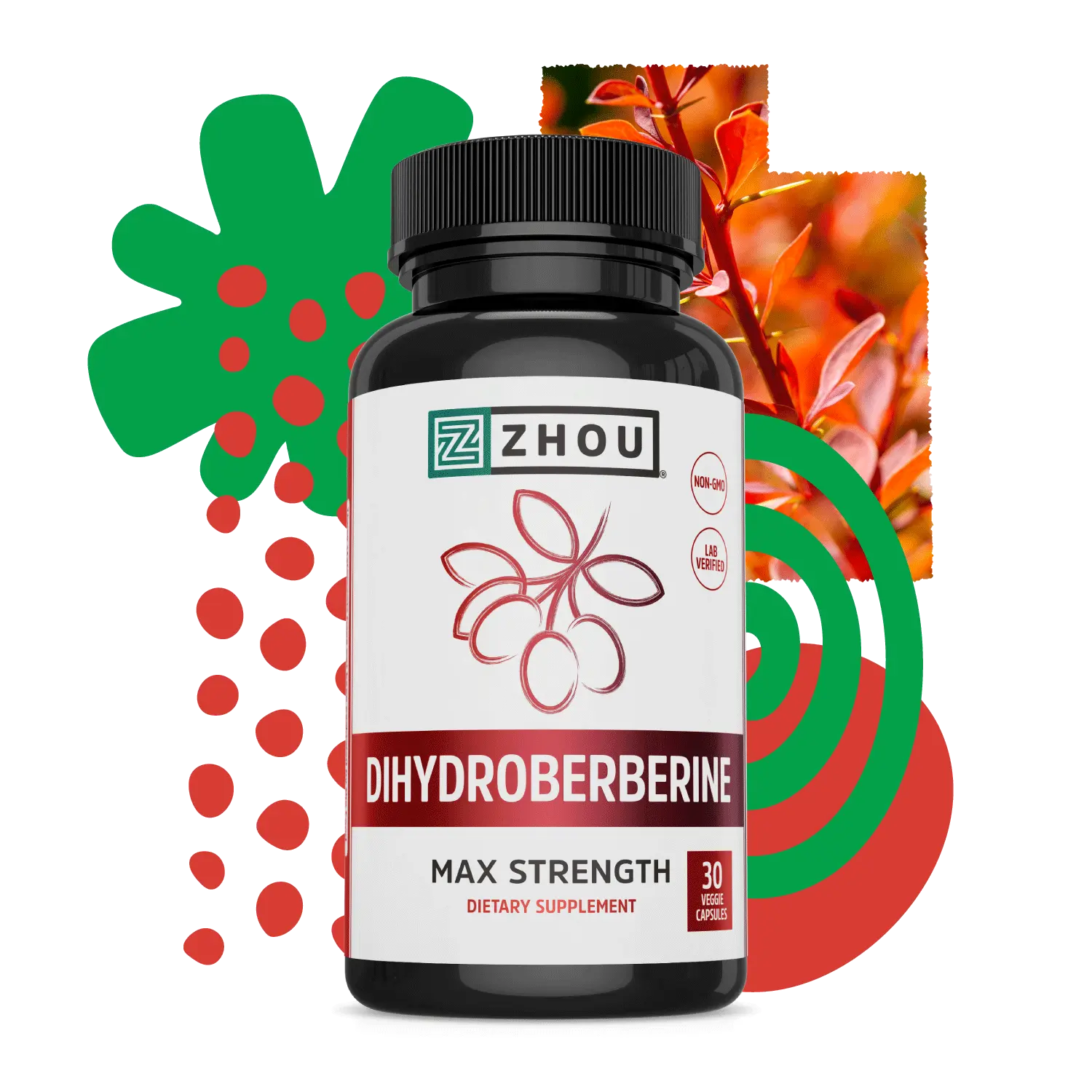 ZHOU NUTRITION Dihydroberberine Dietary Supplement, Health & Wellness Nutritional Support