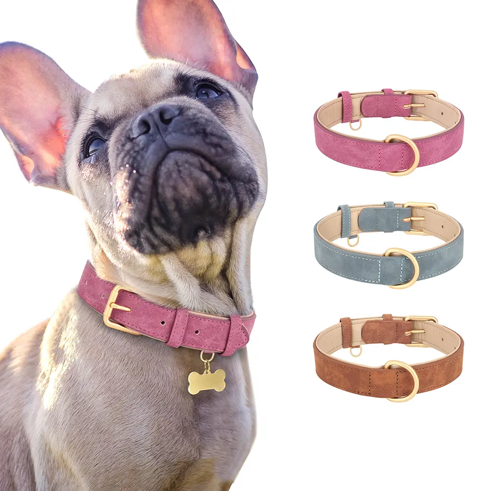 Didog Soft Padded Dog Collar for Small to Large Dogs  Comfort Dog Products with Padded Lining & Premium Alloy D-ring for Secure Leash Attachment,Dog  Accessories